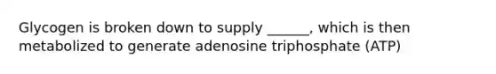 Glycogen is broken down to supply ______, which is then metabolized to generate adenosine triphosphate (ATP)