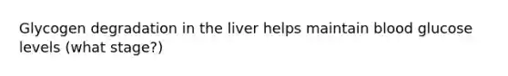 Glycogen degradation in the liver helps maintain blood glucose levels (what stage?)