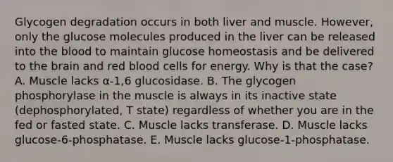 Glycogen degradation occurs in both liver and muscle. However, only the glucose molecules produced in the liver can be released into <a href='https://www.questionai.com/knowledge/k7oXMfj7lk-the-blood' class='anchor-knowledge'>the blood</a> to maintain glucose homeostasis and be delivered to <a href='https://www.questionai.com/knowledge/kLMtJeqKp6-the-brain' class='anchor-knowledge'>the brain</a> and red blood cells for energy. Why is that the case? A. Muscle lacks α-1,6 glucosidase. B. The glycogen phosphorylase in the muscle is always in its inactive state (dephosphorylated, T state) regardless of whether you are in the fed or fasted state. C. Muscle lacks transferase. D. Muscle lacks glucose-6-phosphatase. E. Muscle lacks glucose-1-phosphatase.