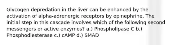 Glycogen depredation in the liver can be enhanced by the activation of alpha-adrenergic receptors by epinephrine. The initial step in this cascade involves which of the following second messengers or active enzymes? a.) Phospholipase C b.) Phosphodiesterase c.) cAMP d.) SMAD