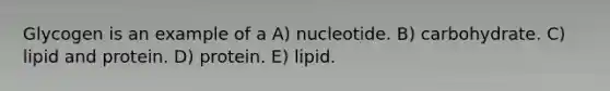 Glycogen is an example of a A) nucleotide. B) carbohydrate. C) lipid and protein. D) protein. E) lipid.