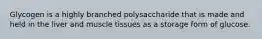 Glycogen is a highly branched polysaccharide that is made and held in the liver and muscle tissues as a storage form of glucose.