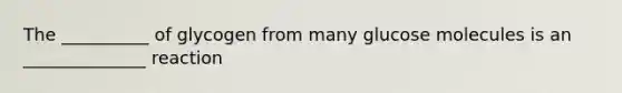 The __________ of glycogen from many glucose molecules is an ______________ reaction