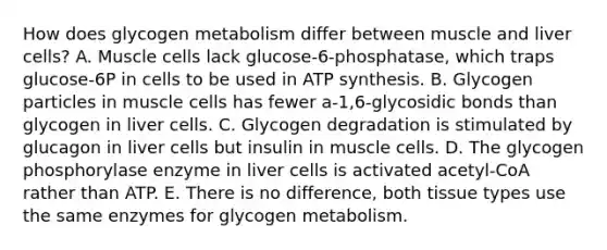 How does glycogen metabolism differ between muscle and liver cells? A. Muscle cells lack glucose-6-phosphatase, which traps glucose-6P in cells to be used in <a href='https://www.questionai.com/knowledge/kx3XpCJrFz-atp-synthesis' class='anchor-knowledge'>atp synthesis</a>. B. Glycogen particles in muscle cells has fewer a-1,6-glycosidic bonds than glycogen in liver cells. C. Glycogen degradation is stimulated by glucagon in liver cells but insulin in muscle cells. D. The glycogen phosphorylase enzyme in liver cells is activated acetyl-CoA rather than ATP. E. There is no difference, both tissue types use the same enzymes for glycogen metabolism.