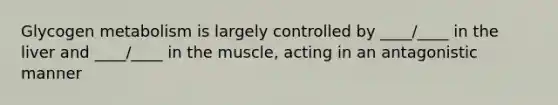 Glycogen metabolism is largely controlled by ____/____ in the liver and ____/____ in the muscle, acting in an antagonistic manner