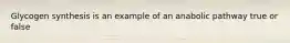 Glycogen synthesis is an example of an anabolic pathway true or false