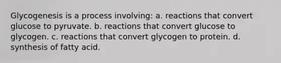 Glycogenesis is a process involving: a. reactions that convert glucose to pyruvate. b. reactions that convert glucose to glycogen. c. reactions that convert glycogen to protein. d. synthesis of fatty acid.