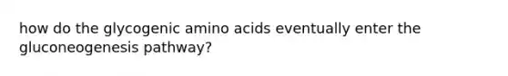 how do the glycogenic amino acids eventually enter the gluconeogenesis pathway?