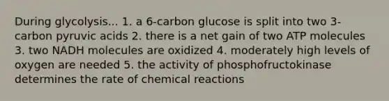 During glycolysis... 1. a 6-carbon glucose is split into two 3-carbon pyruvic acids 2. there is a net gain of two ATP molecules 3. two NADH molecules are oxidized 4. moderately high levels of oxygen are needed 5. the activity of phosphofructokinase determines the rate of chemical reactions