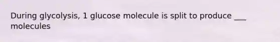 During glycolysis, 1 glucose molecule is split to produce ___ molecules