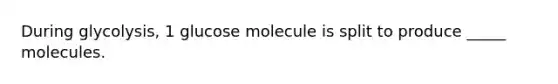 During glycolysis, 1 glucose molecule is split to produce _____ molecules.