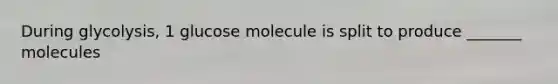 During glycolysis, 1 glucose molecule is split to produce _______ molecules