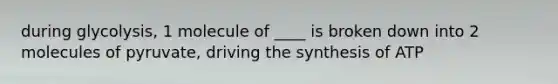 during glycolysis, 1 molecule of ____ is broken down into 2 molecules of pyruvate, driving the synthesis of ATP