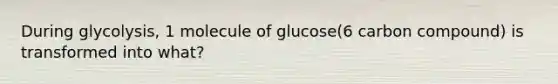 During glycolysis, 1 molecule of glucose(6 carbon compound) is transformed into what?