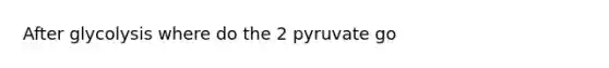 After glycolysis where do the 2 pyruvate go