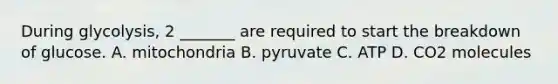 During glycolysis, 2 _______ are required to start the breakdown of glucose. A. mitochondria B. pyruvate C. ATP D. CO2 molecules