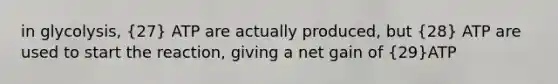 in glycolysis, (27) ATP are actually produced, but (28) ATP are used to start the reaction, giving a net gain of (29)ATP