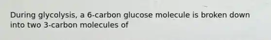 During glycolysis, a 6-carbon glucose molecule is broken down into two 3-carbon molecules of