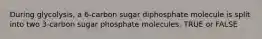 During glycolysis, a 6-carbon sugar diphosphate molecule is split into two 3-carbon sugar phosphate molecules. TRUE or FALSE