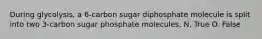 During glycolysis, a 6-carbon sugar diphosphate molecule is split into two 3-carbon sugar phosphate molecules. N. True O. False