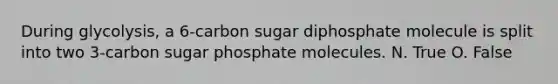 During glycolysis, a 6-carbon sugar diphosphate molecule is split into two 3-carbon sugar phosphate molecules. N. True O. False