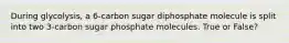 During glycolysis, a 6-carbon sugar diphosphate molecule is split into two 3-carbon sugar phosphate molecules. True or False?