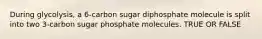 During glycolysis, a 6-carbon sugar diphosphate molecule is split into two 3-carbon sugar phosphate molecules. TRUE OR FALSE