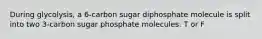 During glycolysis, a 6-carbon sugar diphosphate molecule is split into two 3-carbon sugar phosphate molecules. T or F