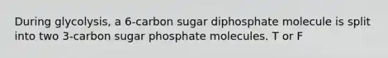 During glycolysis, a 6-carbon sugar diphosphate molecule is split into two 3-carbon sugar phosphate molecules. T or F