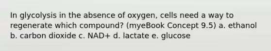 In glycolysis in the absence of oxygen, cells need a way to regenerate which compound? (myeBook Concept 9.5) a. ethanol b. carbon dioxide c. NAD+ d. lactate e. glucose