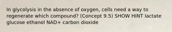 In glycolysis in the absence of oxygen, cells need a way to regenerate which compound? (Concept 9.5) SHOW HINT lactate glucose ethanol NAD+ carbon dioxide