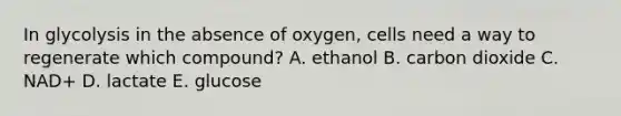 In glycolysis in the absence of oxygen, cells need a way to regenerate which compound? A. ethanol B. carbon dioxide C. NAD+ D. lactate E. glucose