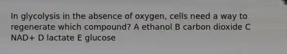 In glycolysis in the absence of oxygen, cells need a way to regenerate which compound? A ethanol B carbon dioxide C NAD+ D lactate E glucose