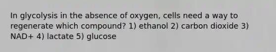 In glycolysis in the absence of oxygen, cells need a way to regenerate which compound? 1) ethanol 2) carbon dioxide 3) NAD+ 4) lactate 5) glucose