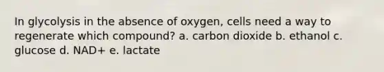 In glycolysis in the absence of oxygen, cells need a way to regenerate which compound? a. carbon dioxide b. ethanol c. glucose d. NAD+ e. lactate