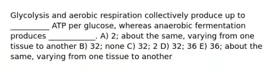 Glycolysis and aerobic respiration collectively produce up to __________ ATP per glucose, whereas anaerobic fermentation produces ____________. A) 2; about the same, varying from one tissue to another B) 32; none C) 32; 2 D) 32; 36 E) 36; about the same, varying from one tissue to another