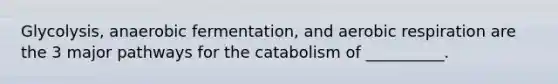 Glycolysis, anaerobic fermentation, and aerobic respiration are the 3 major pathways for the catabolism of __________.