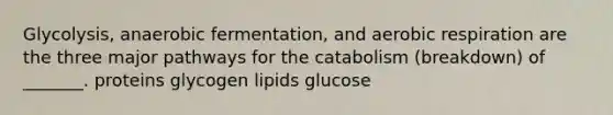 Glycolysis, anaerobic fermentation, and aerobic respiration are the three major pathways for the catabolism (breakdown) of _______. proteins glycogen lipids glucose