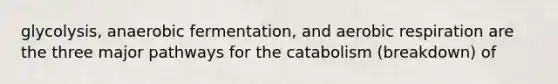 glycolysis, anaerobic fermentation, and aerobic respiration are the three major pathways for the catabolism (breakdown) of