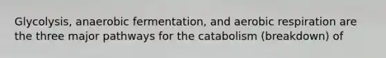 Glycolysis, anaerobic fermentation, and aerobic respiration are the three major pathways for the catabolism (breakdown) of