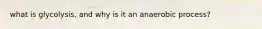 what is glycolysis, and why is it an anaerobic process?