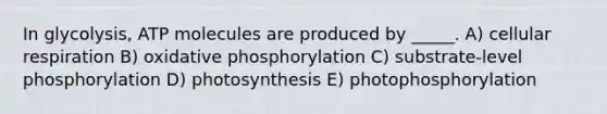 In glycolysis, ATP molecules are produced by _____. A) cellular respiration B) oxidative phosphorylation C) substrate-level phosphorylation D) photosynthesis E) photophosphorylation