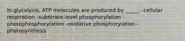 In glycolysis, ATP molecules are produced by _____. -cellular respiration -substrate-level phosphorylation -photophosphorylation -oxidative phosphorylation -photosynthesis