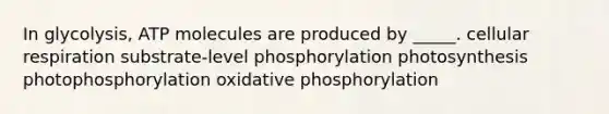 In glycolysis, ATP molecules are produced by _____. <a href='https://www.questionai.com/knowledge/k1IqNYBAJw-cellular-respiration' class='anchor-knowledge'>cellular respiration</a> substrate-level phosphorylation photosynthesis photophosphorylation <a href='https://www.questionai.com/knowledge/kFazUb9IwO-oxidative-phosphorylation' class='anchor-knowledge'>oxidative phosphorylation</a>