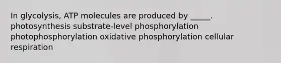 In glycolysis, ATP molecules are produced by _____. photosynthesis substrate-level phosphorylation photophosphorylation <a href='https://www.questionai.com/knowledge/kFazUb9IwO-oxidative-phosphorylation' class='anchor-knowledge'>oxidative phosphorylation</a> <a href='https://www.questionai.com/knowledge/k1IqNYBAJw-cellular-respiration' class='anchor-knowledge'>cellular respiration</a>