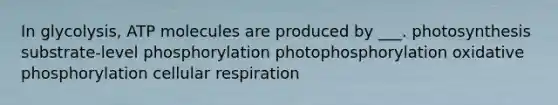 In glycolysis, ATP molecules are produced by ___. photosynthesis substrate-level phosphorylation photophosphorylation oxidative phosphorylation cellular respiration