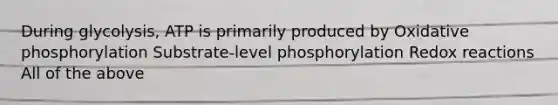 During glycolysis, ATP is primarily produced by Oxidative phosphorylation Substrate-level phosphorylation Redox reactions All of the above