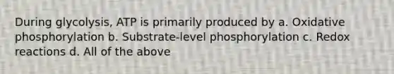 During glycolysis, ATP is primarily produced by a. Oxidative phosphorylation b. Substrate-level phosphorylation c. Redox reactions d. All of the above