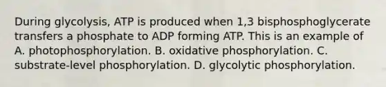 During glycolysis, ATP is produced when 1,3 bisphosphoglycerate transfers a phosphate to ADP forming ATP. This is an example of A. photophosphorylation. B. oxidative phosphorylation. C. substrate-level phosphorylation. D. glycolytic phosphorylation.