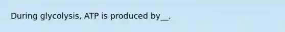 During glycolysis, ATP is produced by__.